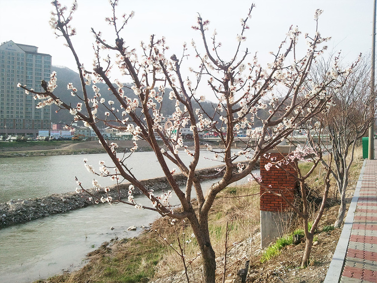 강릉주변 관광지