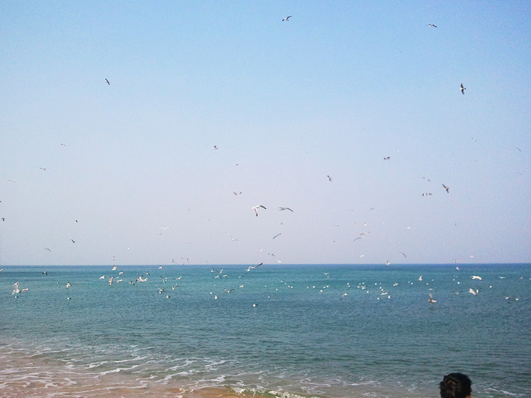 강릉주변 관광지